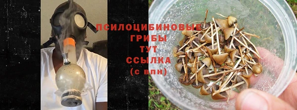 спиды Абаза