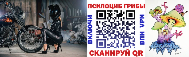 купить  цена  Касимов  Псилоцибиновые грибы прущие грибы 